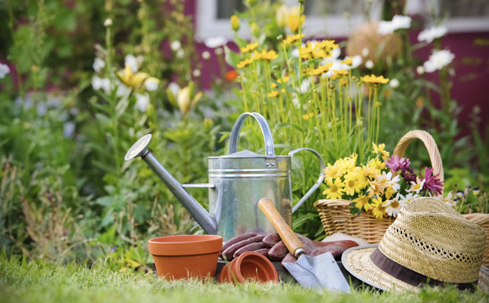 Qualitaly - FIORISTI & GIARDINAGGIO