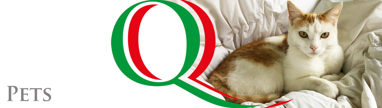 Qualitaly - Pets